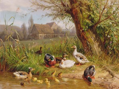 Patos-real com seus patinhos de Carl Jutz